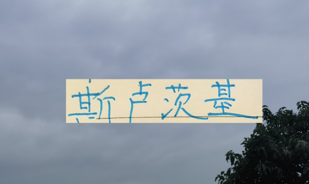 五大联赛-2026赛季！申花“司机”还会三线全力以赴吗